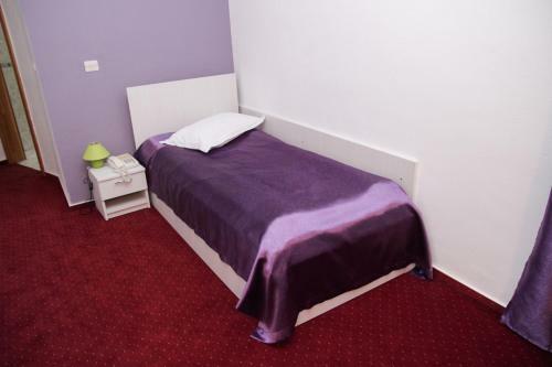 Hotel Dambovita