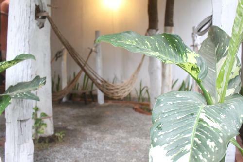 Albergue Eco-home