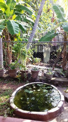 Suresh Home Stay