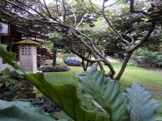 Hostal Alam Jogya Resort