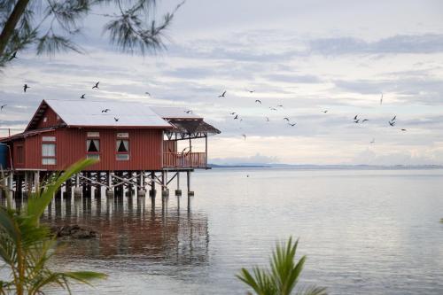 Lodge Imagination Island