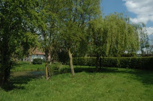 Rootmolen