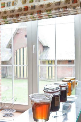 Hostal Lozerkasteel