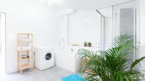 Apartamento Merlin