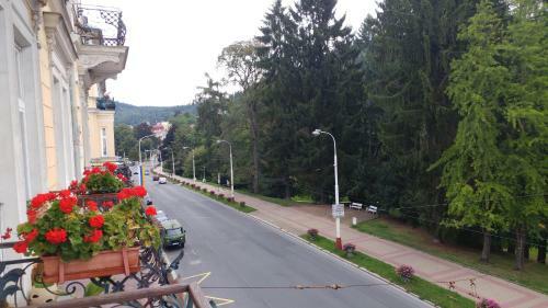 Apartment Butterfly Hlavni