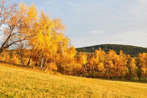 Hostal Penzion Rankl-sepp