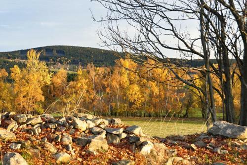 Hostal Penzion Rankl-sepp
