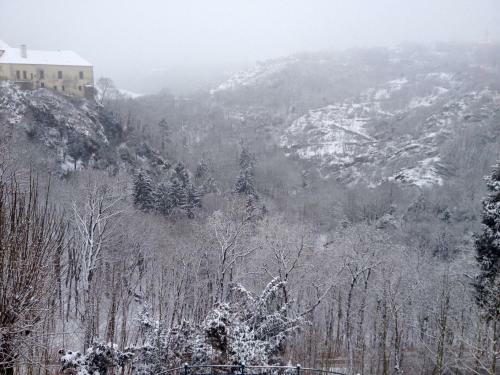 Hostal Pension Phoenix