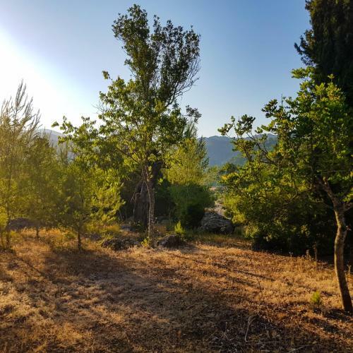 Agroturismo Fangar Vell