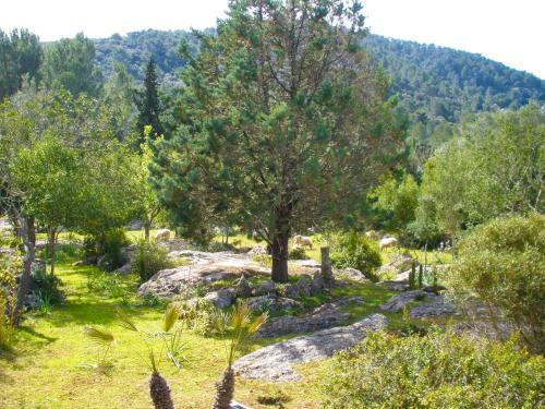 Agroturismo Fangar Vell