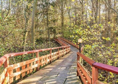 Woodland Park Lodges