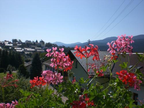 Apartamento Reindl Peter