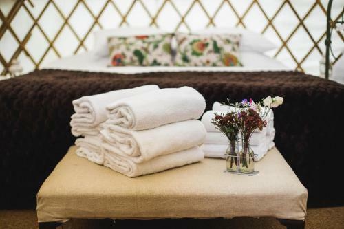 Rock Farm Slane - Glamping