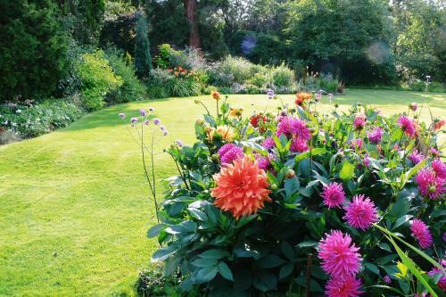 Bed & Breakfast Benslow Music