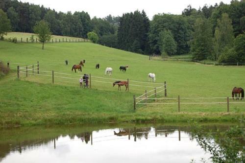 Agroturismo Kollerhof