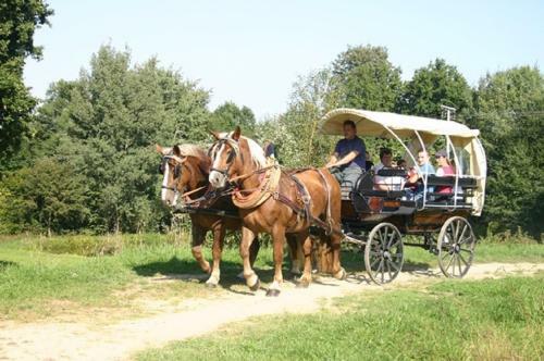 Agroturismo Kollerhof