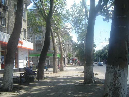 Apartments For Rent In Downtown