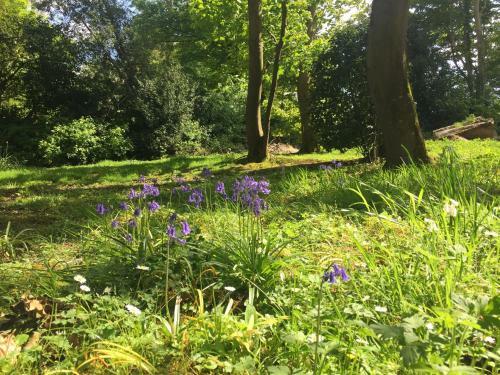 Bed & Breakfast Larchmount House
