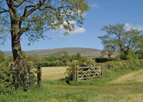 Beacon Fell View