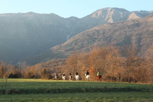 Agroturismo Agriturismo Al Ranch