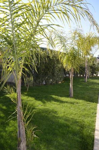 Villa Chiaraurora