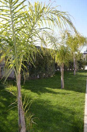 Villa Chiaraurora