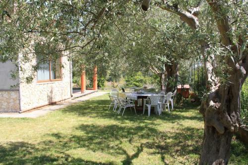 Villa Il Melicucco