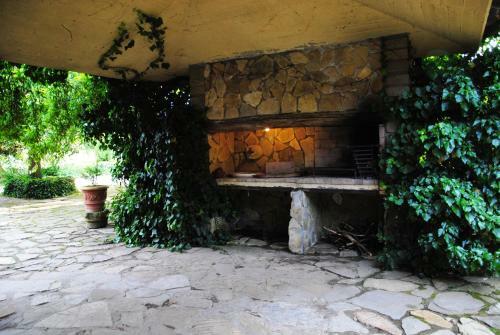 La Casa Degli Elfi