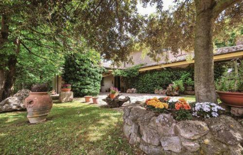 La Casa Degli Elfi