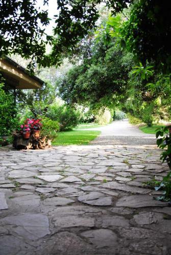 La Casa Degli Elfi