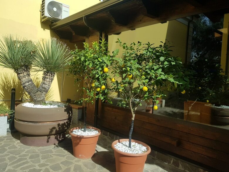 Il Borghetto Hotel Ristorante