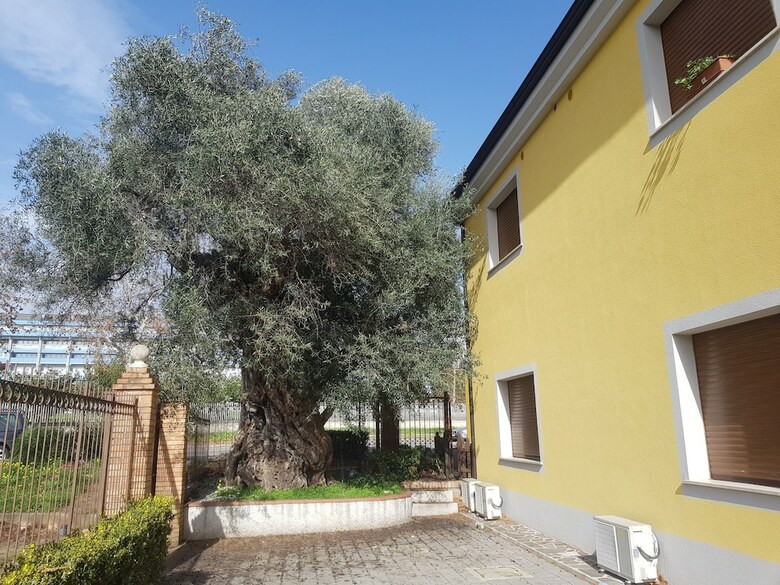 Il Borghetto Hotel Ristorante