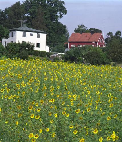 Hostal �vergrans Jordbruk