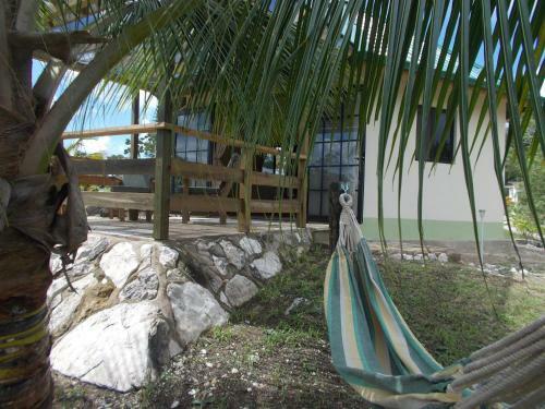 Hotel Gumbo Limbo Jungle Resort