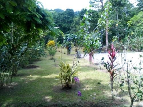 Hotel Puerto Vargas Lodge