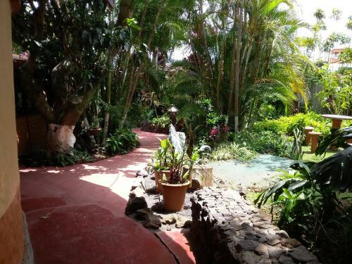Hotel Cibeles Resort