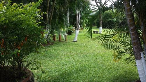 Hotel Cibeles Resort