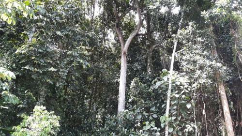 Albergue De Monta�a Talari