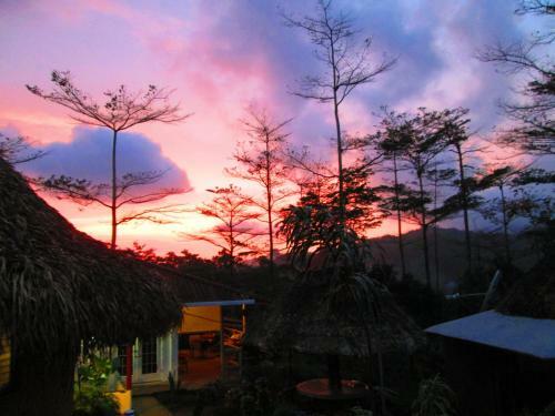 Villa Tavida Lodge