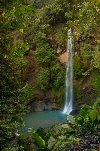 Villa Tavida Lodge