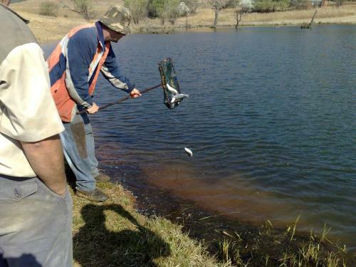 Agroturismo Elandskloof Trout Farm