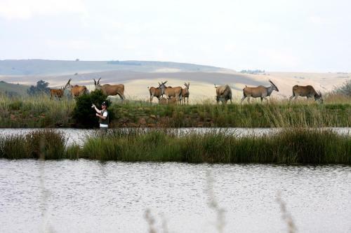 Agroturismo Elandskloof Trout Farm