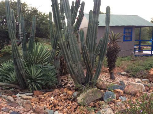 Klein Paradys Lodge - Polokwane
