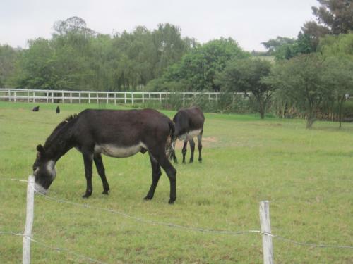 Bed & Breakfast Swelln2 Farm Lodge