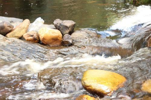 Bed & Breakfast Swelln2 Farm Lodge