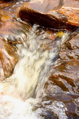 Bed & Breakfast Swelln2 Farm Lodge