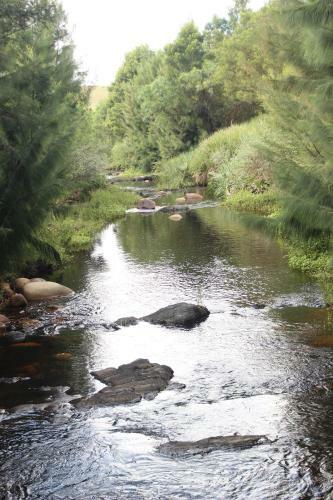 Bed & Breakfast Swelln2 Farm Lodge