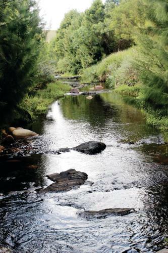 Bed & Breakfast Swelln2 Farm Lodge