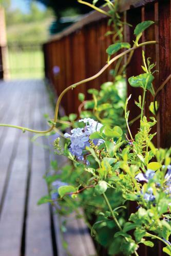 Bed & Breakfast Swelln2 Farm Lodge