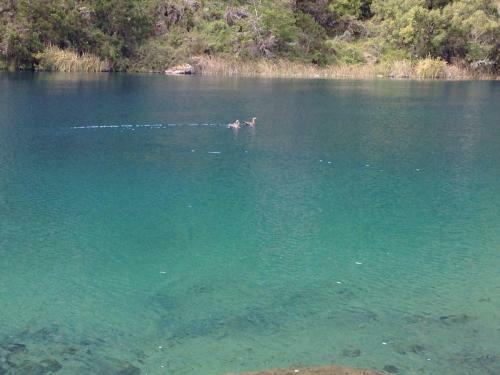 Caba�as Brellenthin